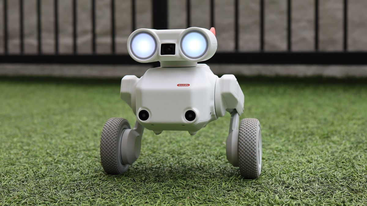 Mondo Beni camera robot