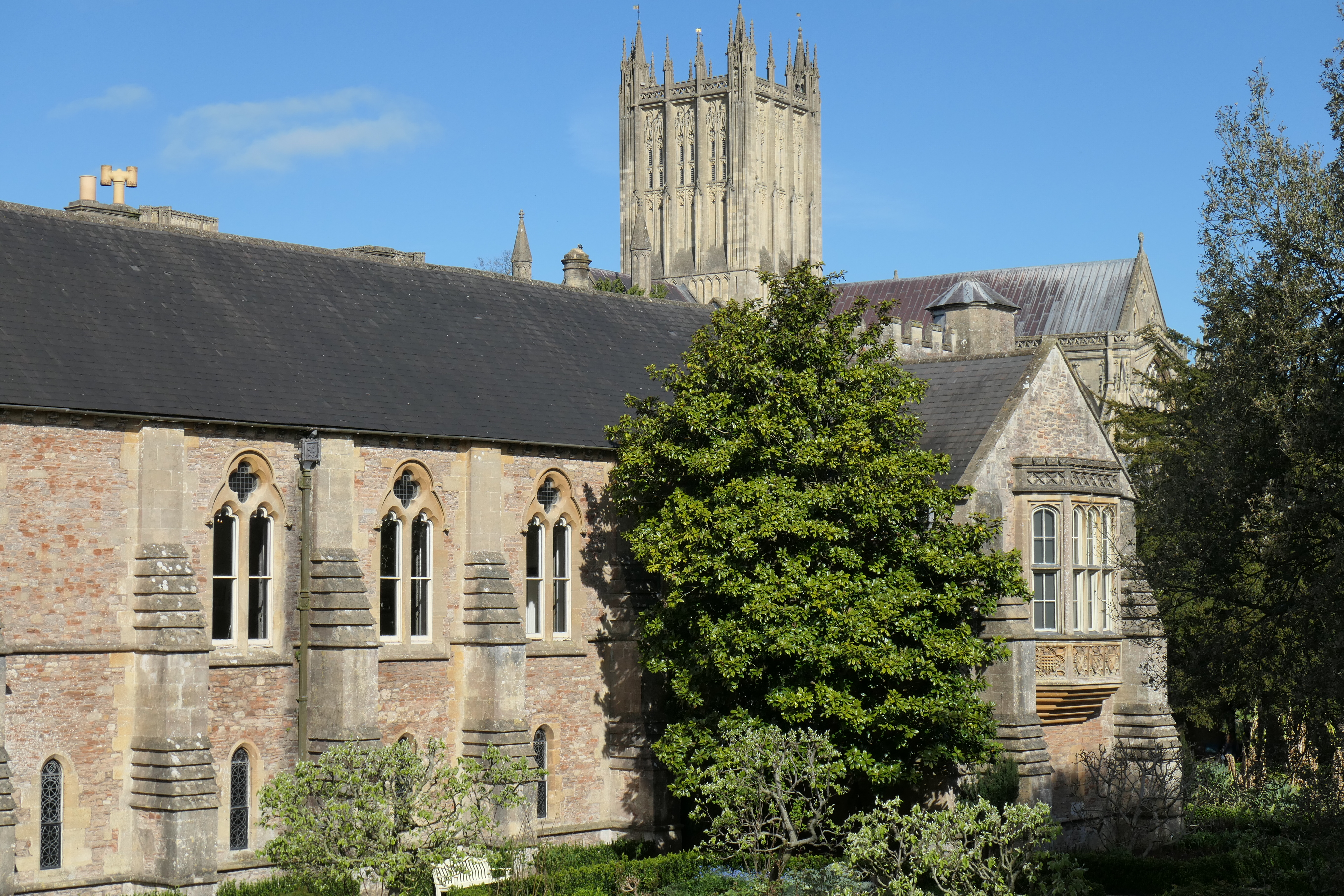 Panasonic Lumix ZS300 / TZ300 sample image