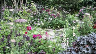 How to plant lotus seeds: 5 steps to grow this pond plant | Homes and