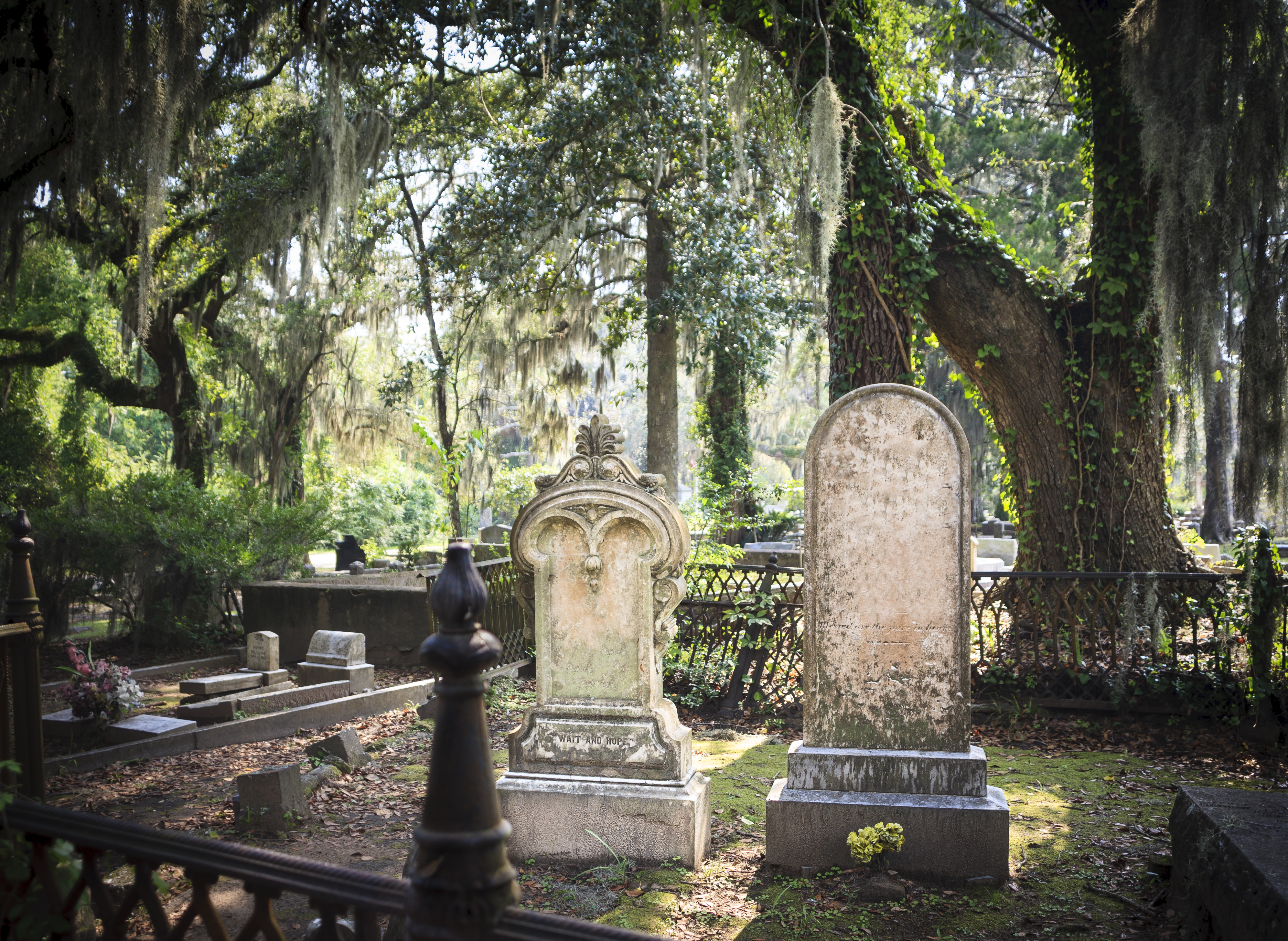 Old tombstones in Bonaventure Cemetery in Savannah