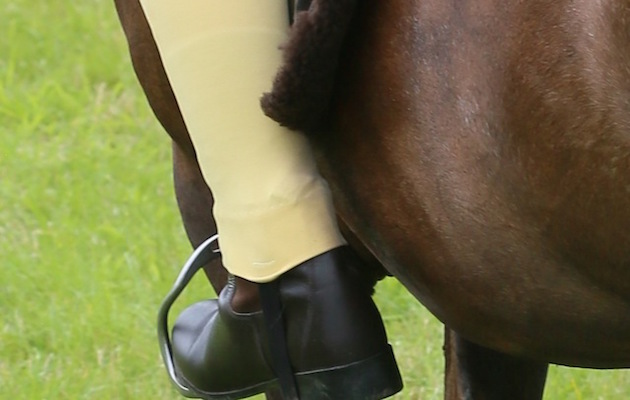 Open M&amp;amp;M Small Breeds Championship