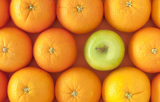 apples and oranges Photo by Best Shot Factory/REX/Shutterstock