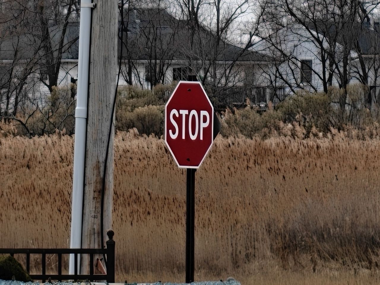 OnePlus 13 zoom sample.
