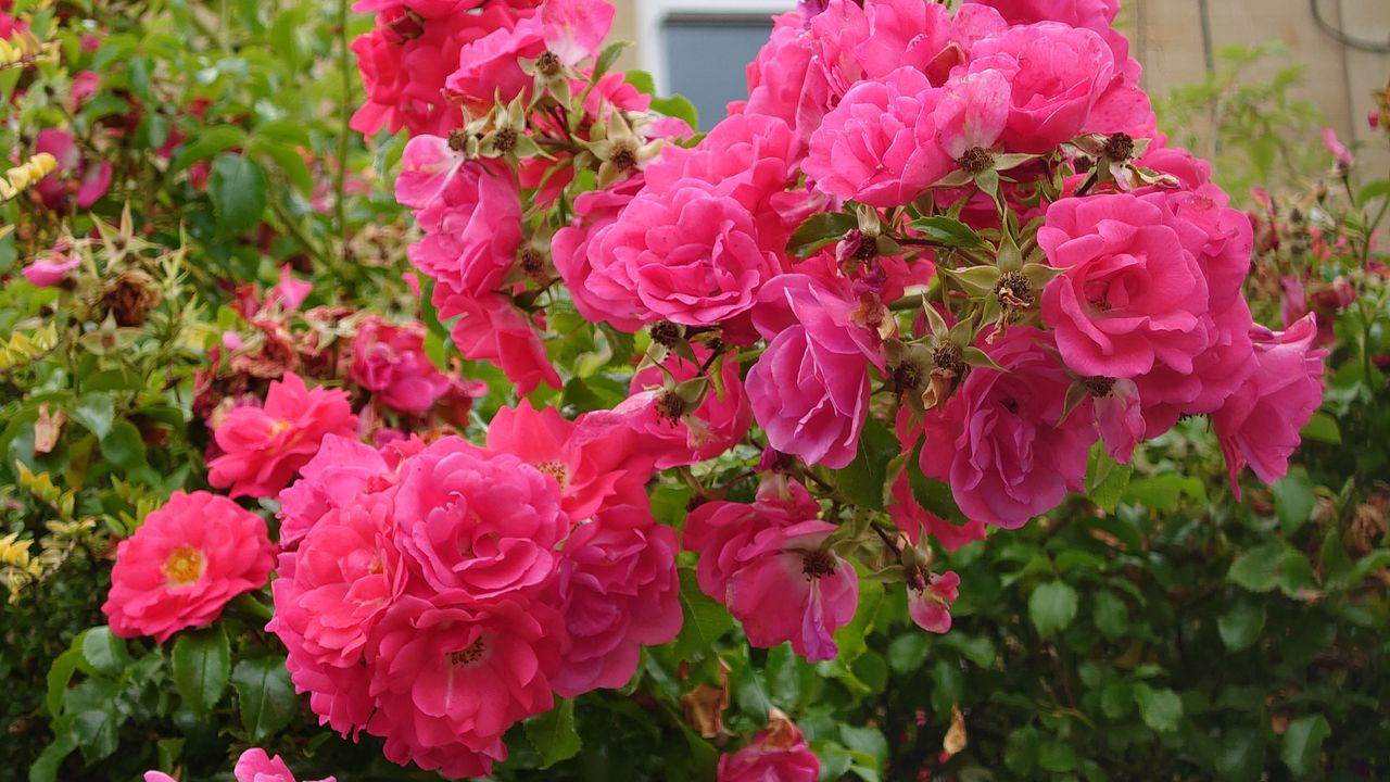 Xperia 1iii photos