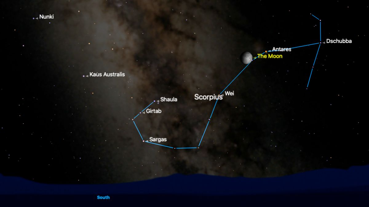 night sky graphic showing the moon shining to the left of Antares.