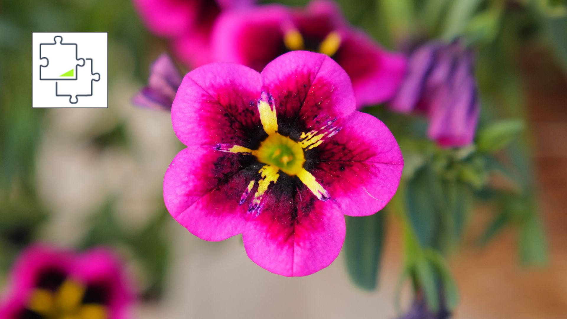 A photo showing Tom's Guide Vibrant Flowers jigsaw puzzle