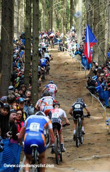 Crowds lined both sides of the track through the forest