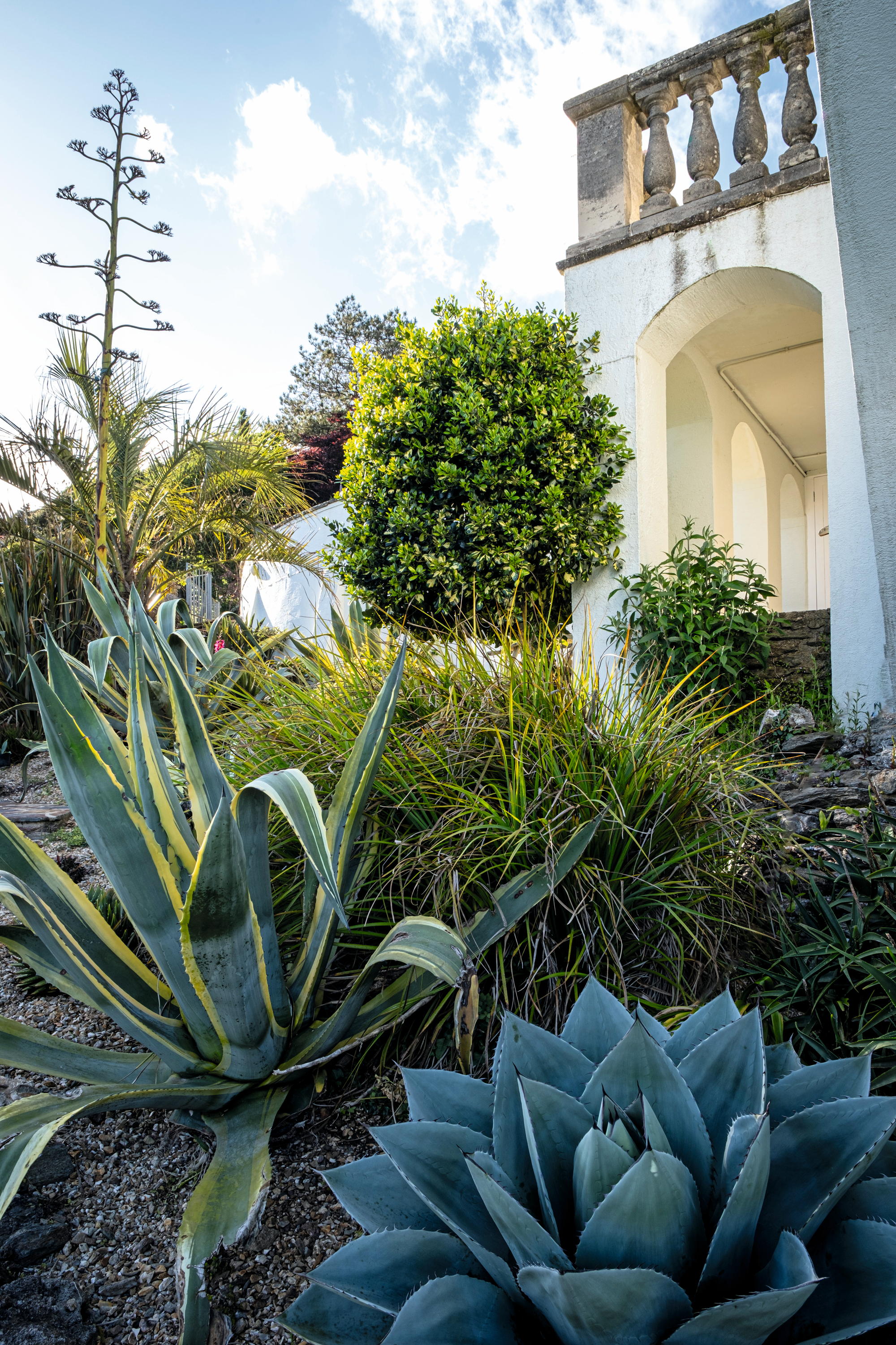 The garden at Ash Park in the South Hams in Devon