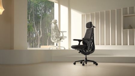 LiberNovo Maxis ergonomic chair