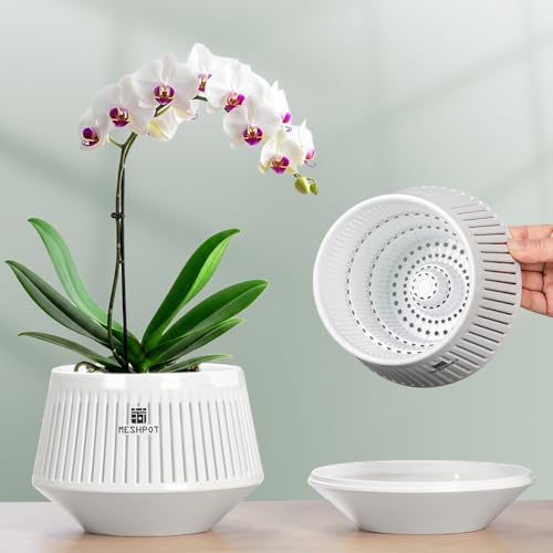 Meshpot 5 Inch Orchid Pots With Holes for Repotting,set of 1,decorative African Violet Pots With Air-Pruning and Good Air Circulation,plastic White Orchid Planter With Saucers