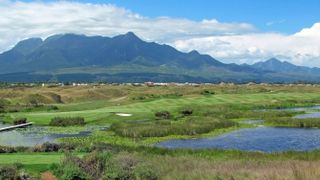 Fancourt - Links Course - Hole 15