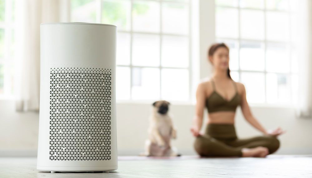 Air purifier with woman and dog both doing yoga in the background.