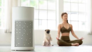 Air purifier with woman and dog both doing yoga in the background.