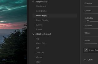 Screenshot of Adaptive Presets being used in Lightroom