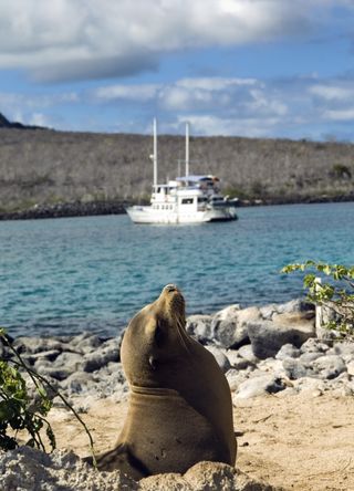 The Galapagos Islands