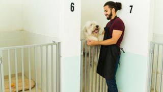 Man tending dog at daycare hotel