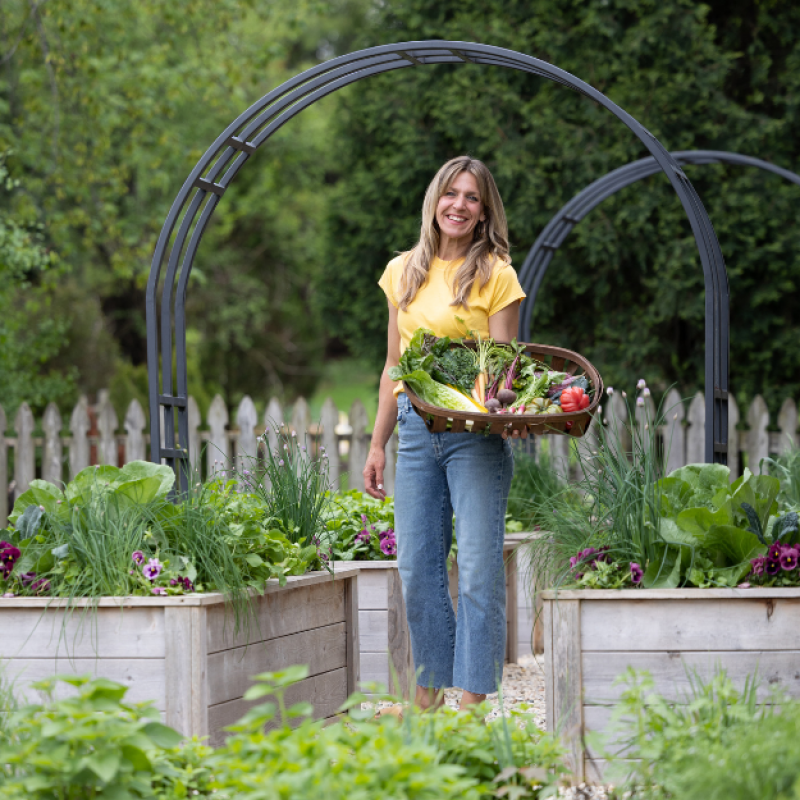 A female gardener with a basket of picked veg