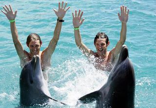 Brothers Andy (left) and Fränk Schleck frolic with dolphins while in Curaçao.