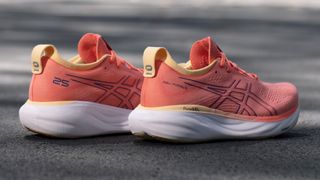 Asics Gel-Nimbus 25 running shoes