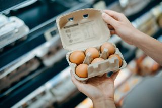 Eggs in a egg box