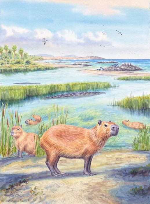 An illustration of several small four-legged mammals next to a river.