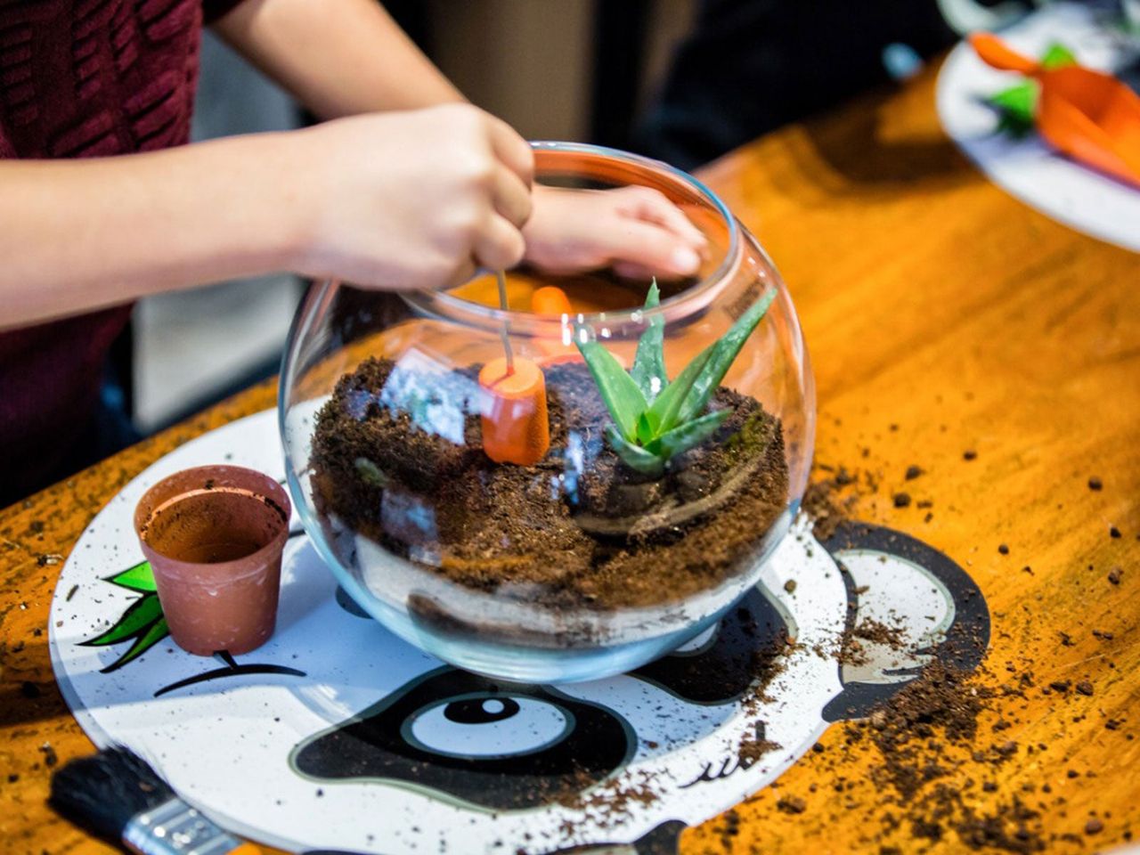 Person Making A Diy Fishbowl Succulent Planter