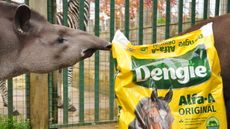 Zoo2.jpg