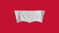 Levi's tarp logo