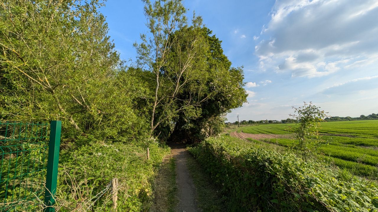 200 photos google pixel 8a vs google pixel 6 pro