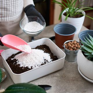 Perlite in compost with trowels