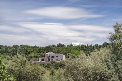 Residential home nested within mature olive groves with a view of the skyline and mountains in the background