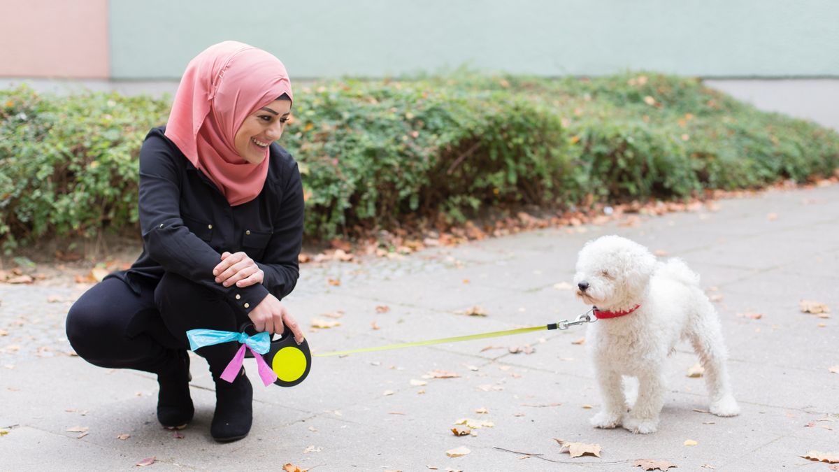 Woman crouched down beside her dog while they&#039;re out on a walk