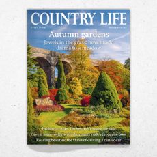 Cover of Country Life 10 September 2025
