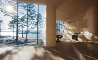 The cabin's woodland atmosphere, flooding the birch-clad rooms with natural light