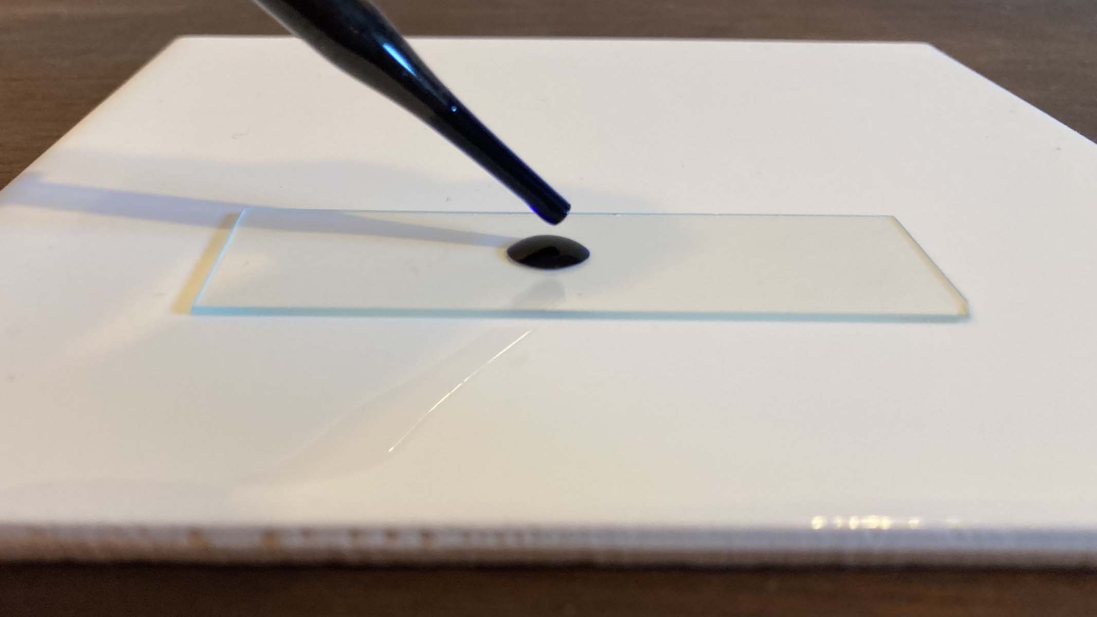 liquid being dropped onto a microscope slide