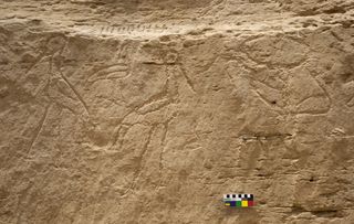 Hieroglyphics found at El-Khawy in Egypt show two storks, back to back, with an ibis between them (left), as well as a bull's head (right). 