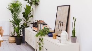 instagram friendly images: image of The Archipelago studio with plants