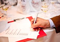 DWWA judging process