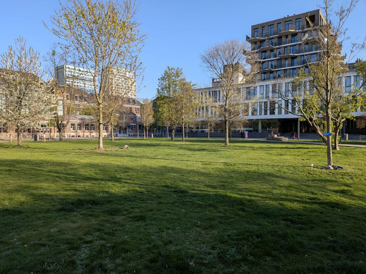 Voorbeeldfoto Google Pixel 9a