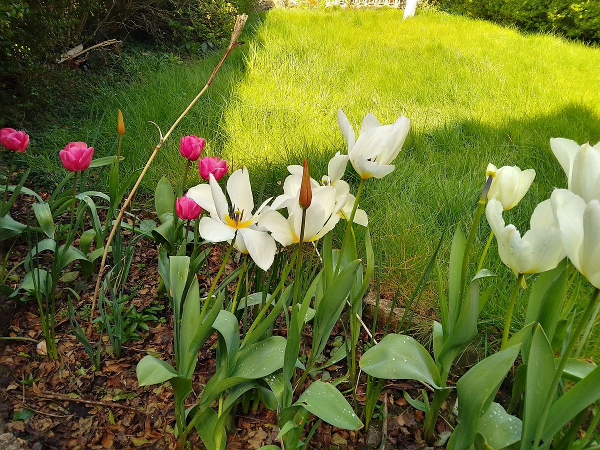 A Nokia G11 camera sample