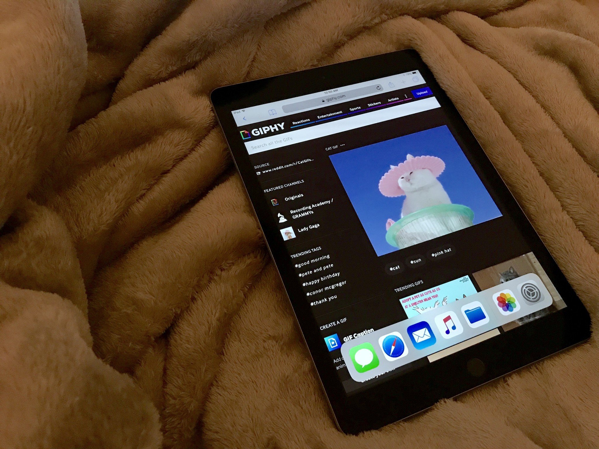 How to Set a GIF as Wallpaper on iPhone & iPad