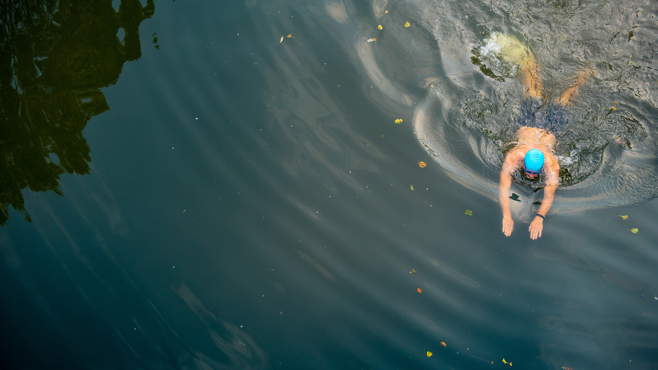 Man wild swimming in river, overhead view