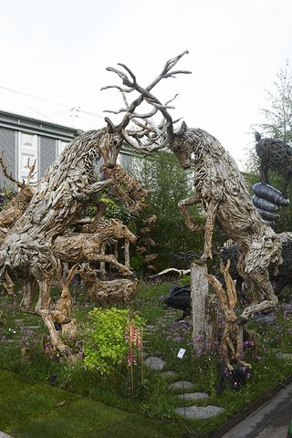 Chelsea Flower Show pictures