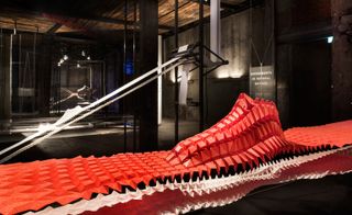 ’Experiments in Natural Motion’ installation view featuring a red 3D shoe against a a dark background and framework