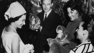 Queen Elizabeth is shown some koala bears in Brisbane