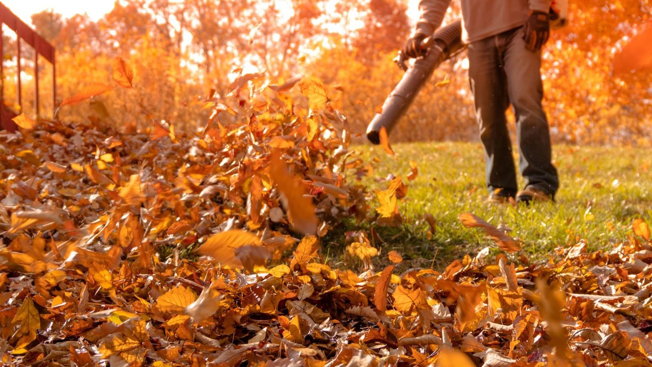 A man using a leaf blower 