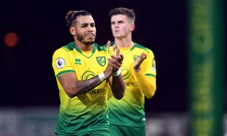 Onel Hernandez's late goal was a consolation for Norwich