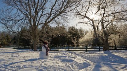 White Christmas? Wide angle view of freezing cold winter morning with snowman