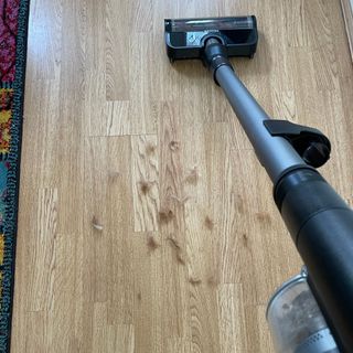 Miele DuoFlex cleaning wooden floor covered in dog hair