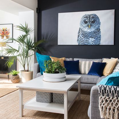 Living room with owl painting and blue wall